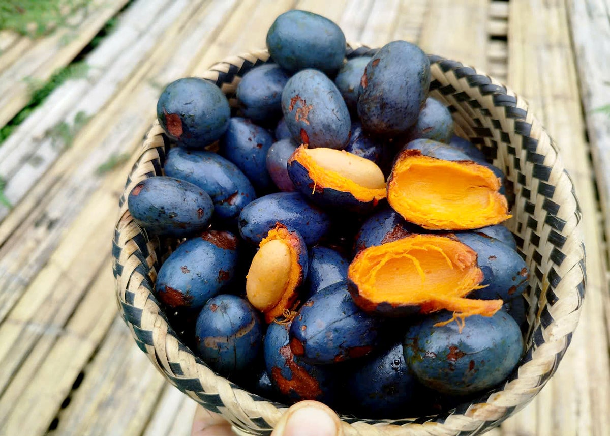 Cọ ỏm 